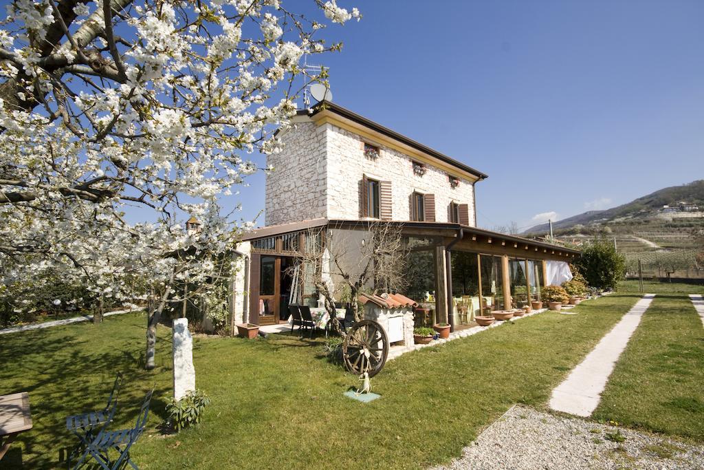Villa Ada Negrar Bagian luar foto